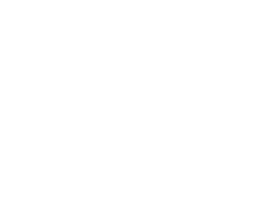 Cress Security Co